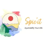 Logo Spice'it
